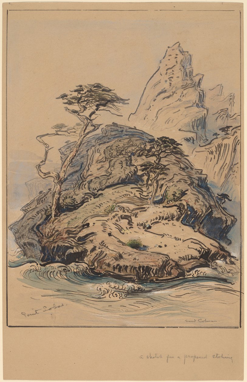 Point Lobos, Kalifornien von Samuel Colman
