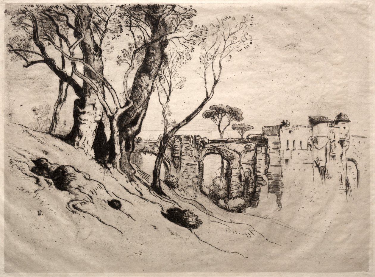 Die Olivenbäume der Riviera von Samuel Colman