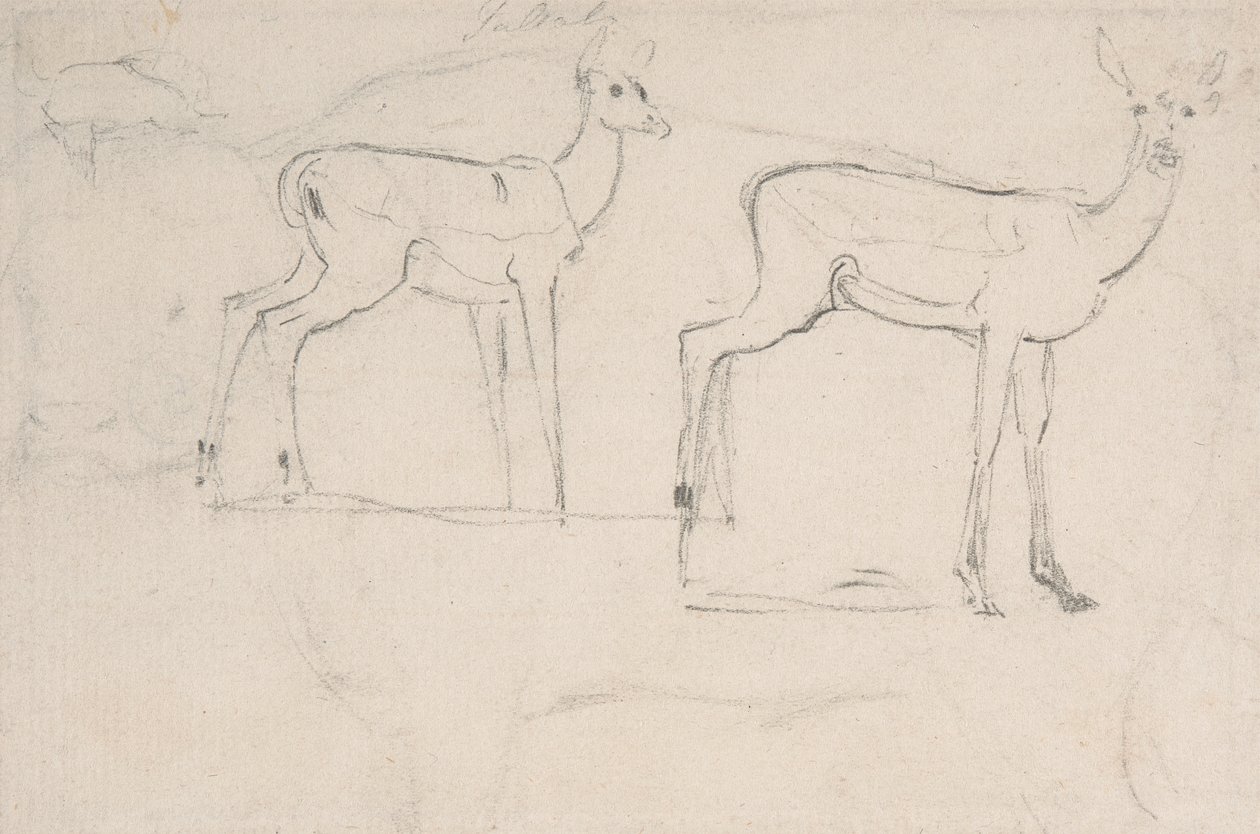 Studie für zwei stehende Pallah-Hirsche von Samuel Daniell