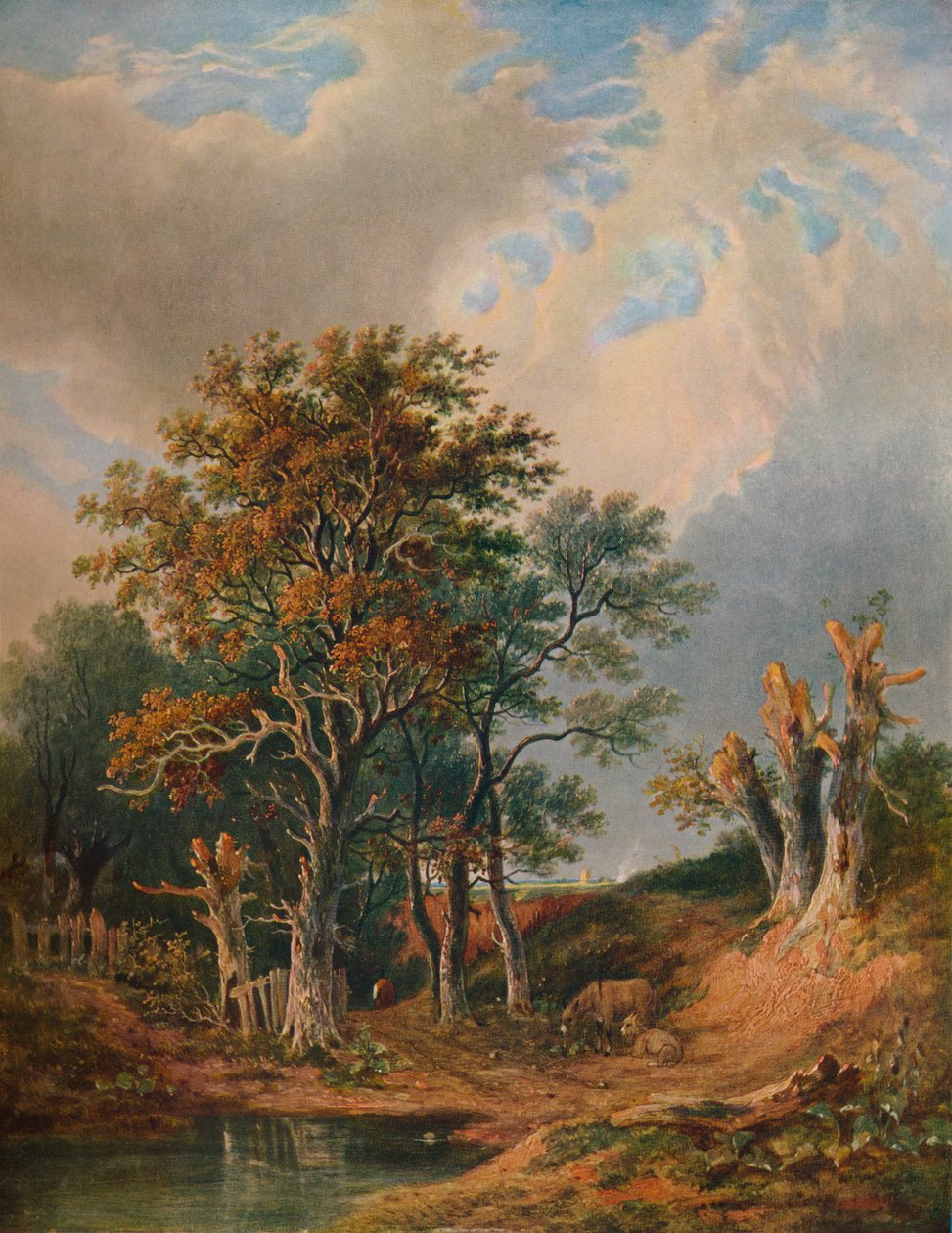 Landschaft, 1847 von Samuel David Colkett