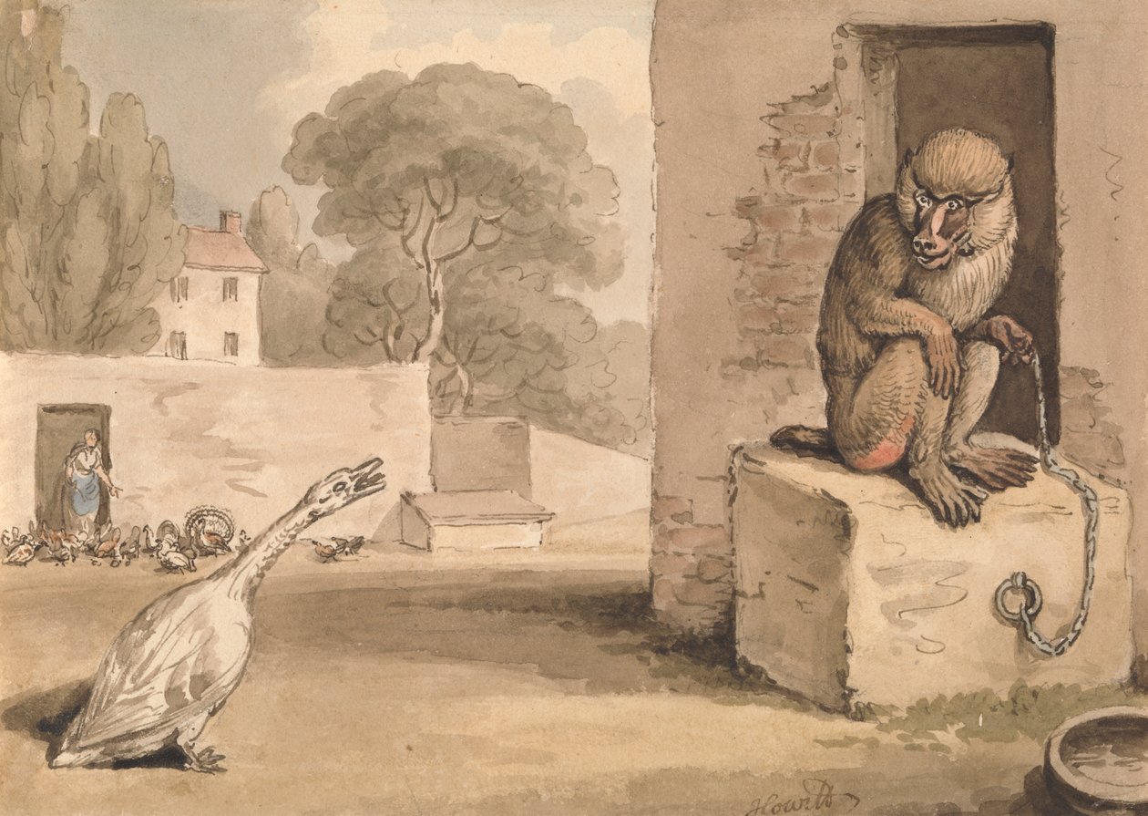 Eine Gans und ein Pavian von Samuel Howitt