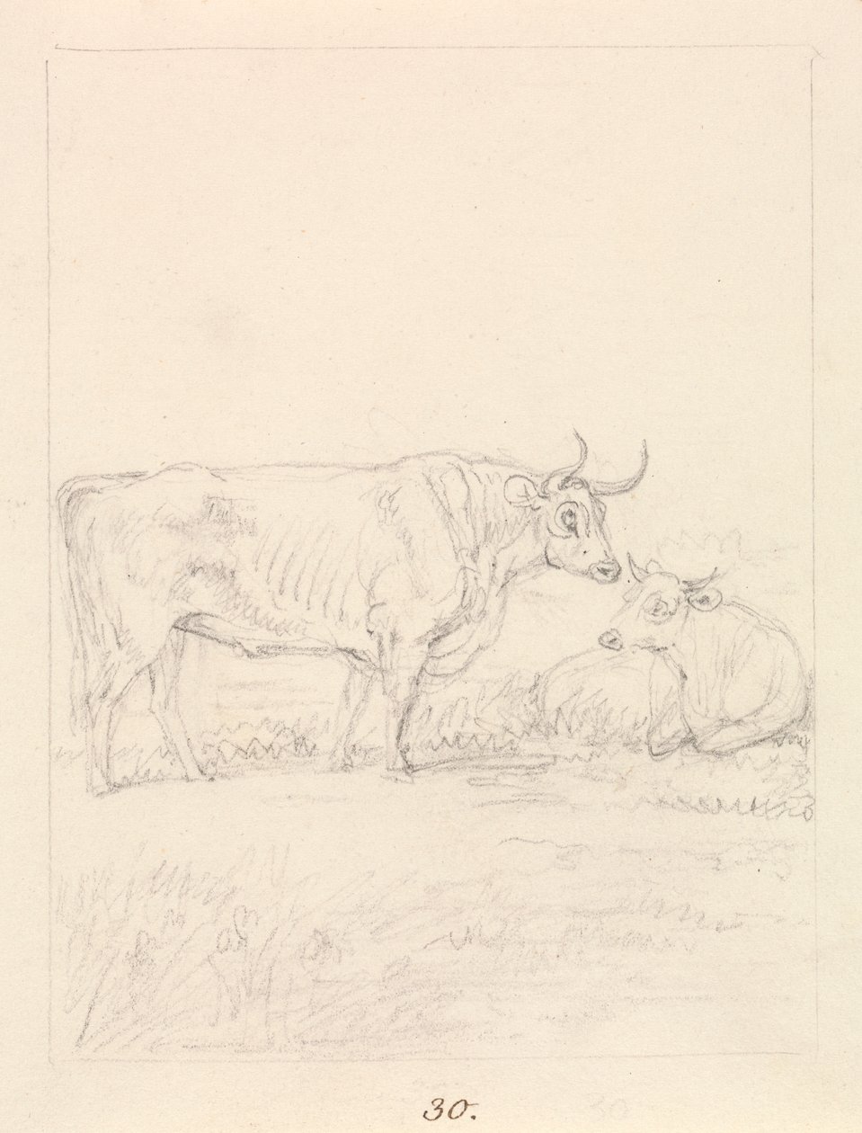 Stier und Kuh von Samuel Howitt