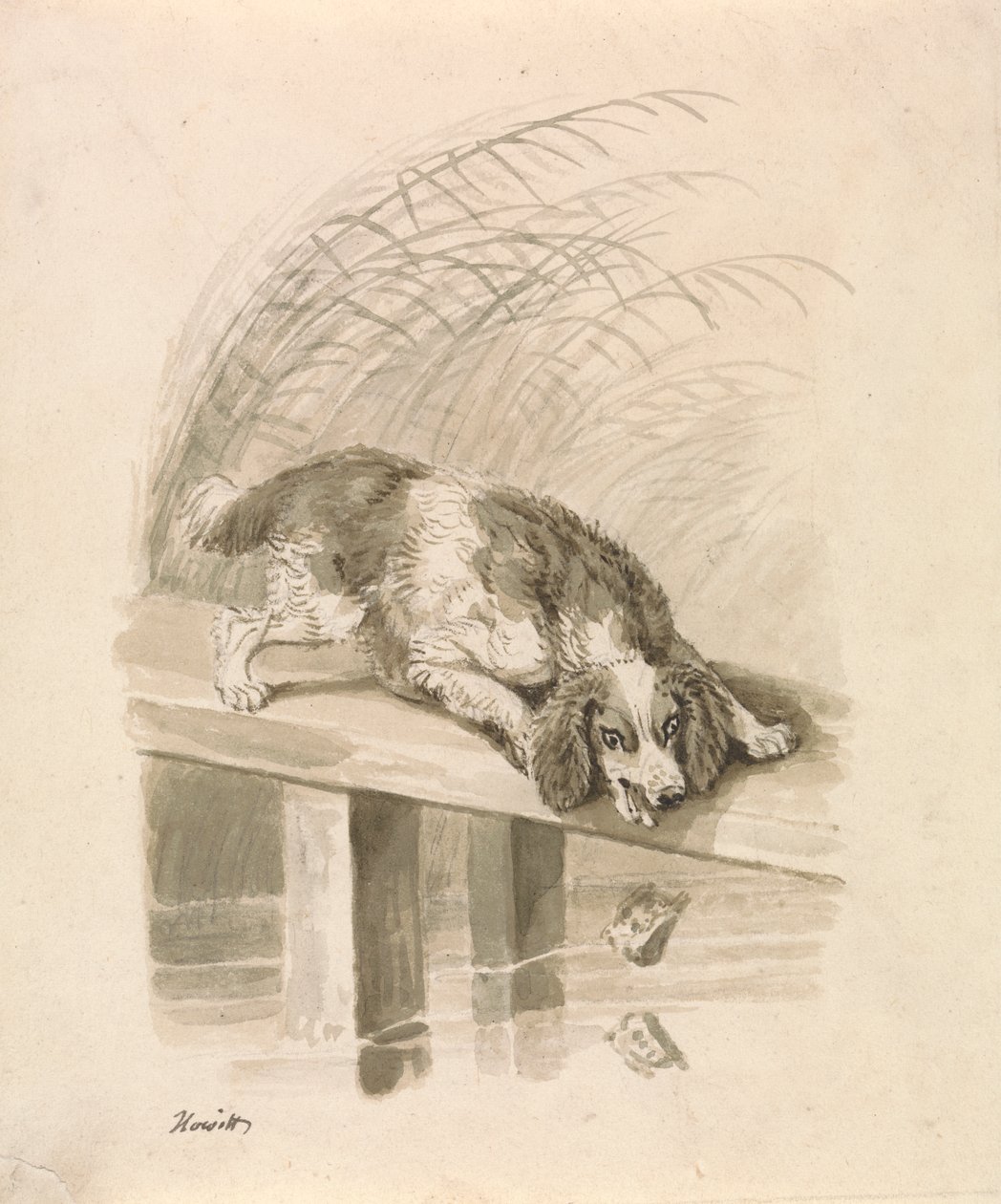 Der Hund und der Schatten von Samuel Howitt