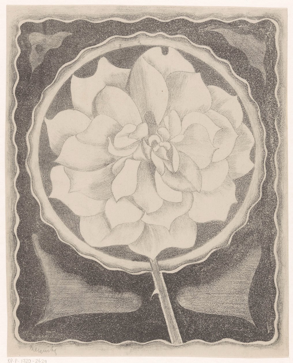 Rose von Samuel Jessurun de Mesquita (signed by artist)