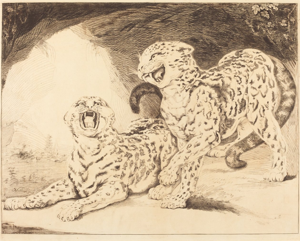 Leoparden von Samuel William Reynolds I after James Northcote