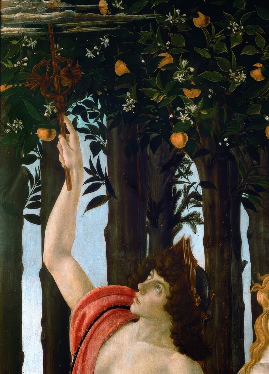 Der Frühling von Sandro Botticelli