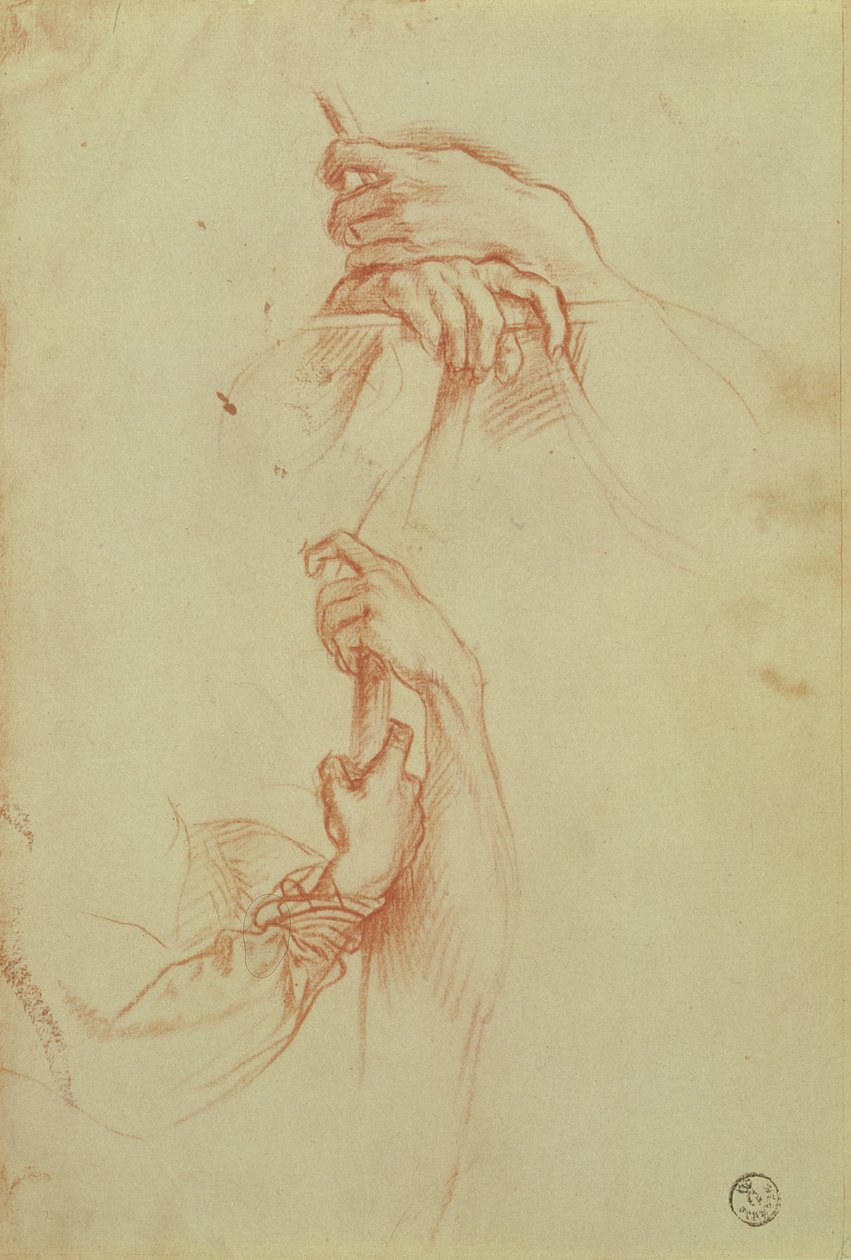 Zwei Studien von Händen eines jungen Mannes von Sandro Botticelli