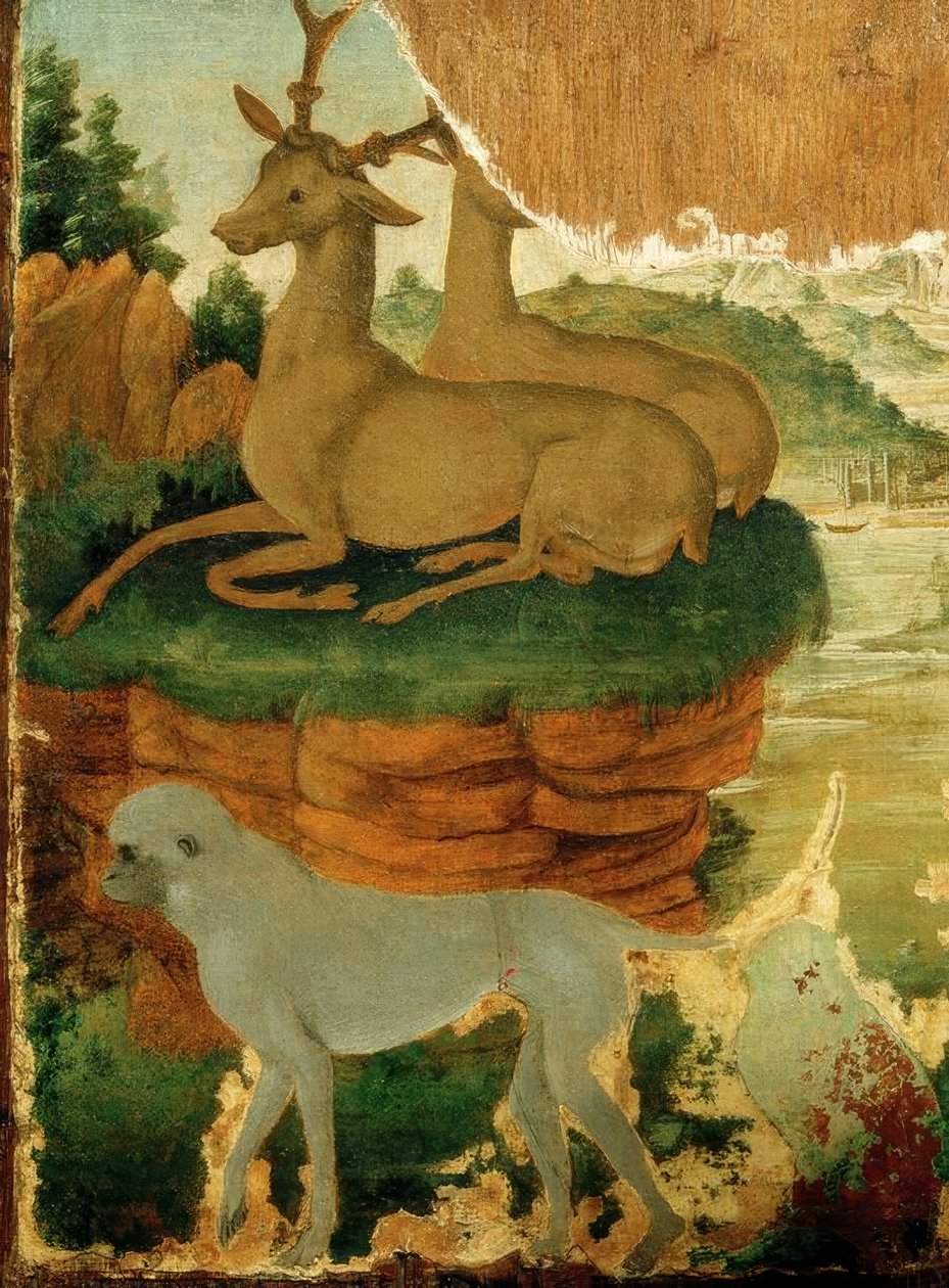 Landschaft mit Rehböcken und Affen von Sandro Botticelli