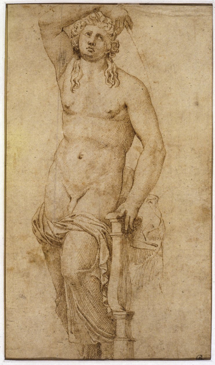 Apollo von Raffaello Sanzio Raphael