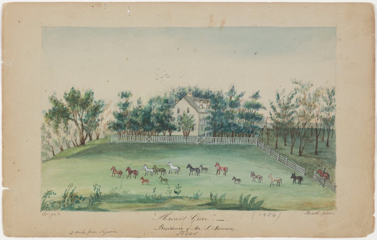 Pleasant Grove von Sarah Ann Lillie Hardinge