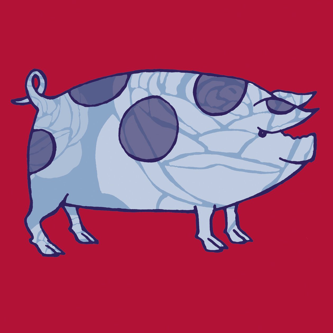 Piddle Valley Schwein, 2005 von Sarah Hough