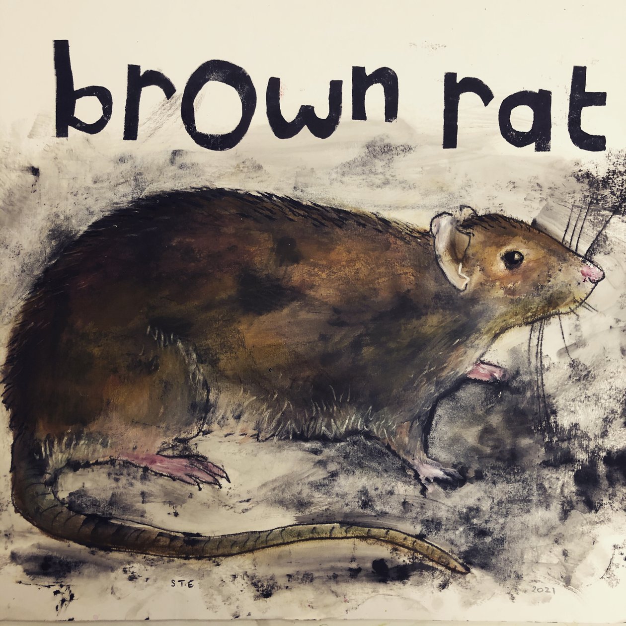 Braune Ratte von Sarah Thompson Engels