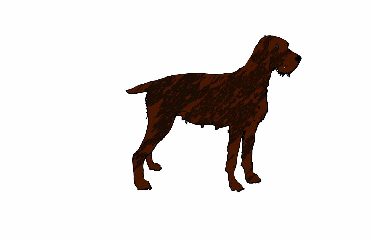 Hund von Sarah Thompson Engels