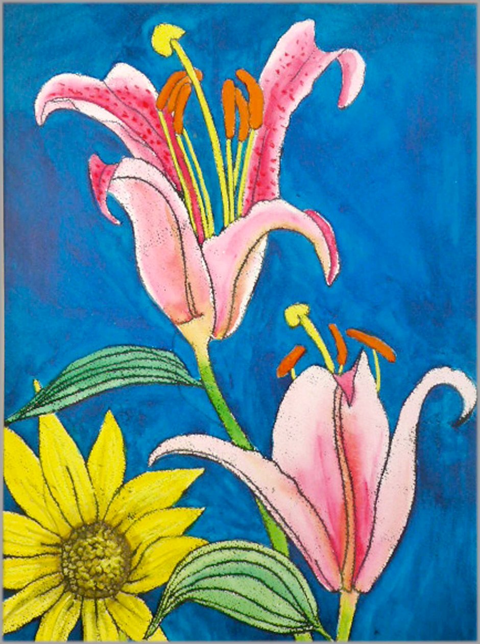 Sterngucker von Sarah Thompson Engels