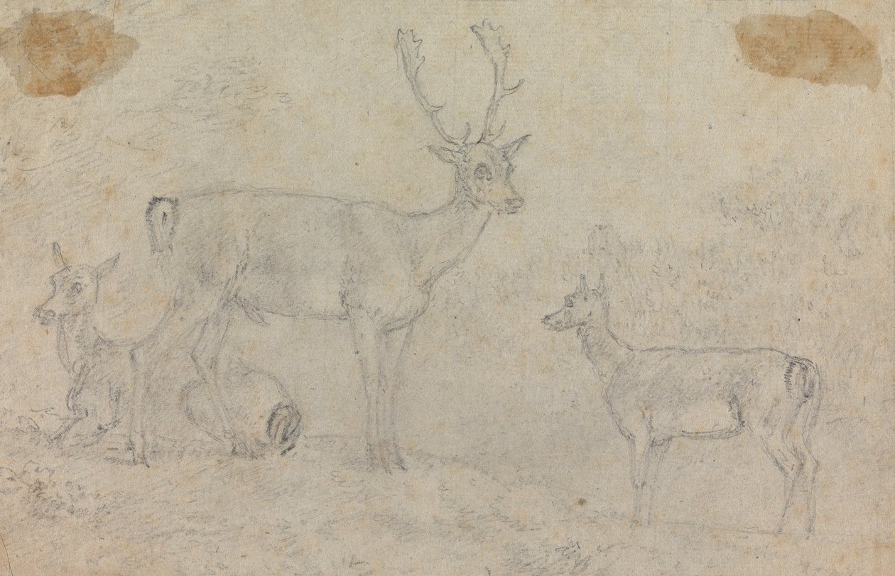 Ein Hirsch und zwei Rehe von Sawrey Gilpin