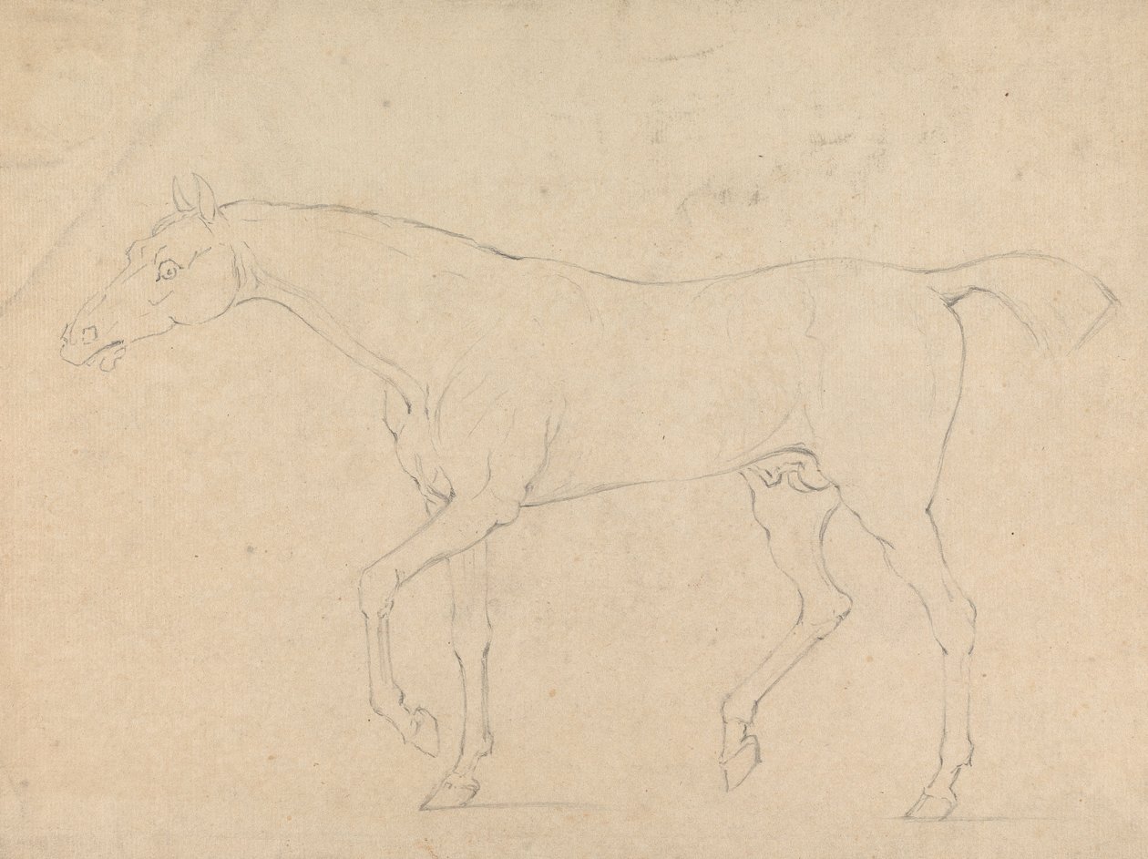 Ein Pferd von Sawrey Gilpin