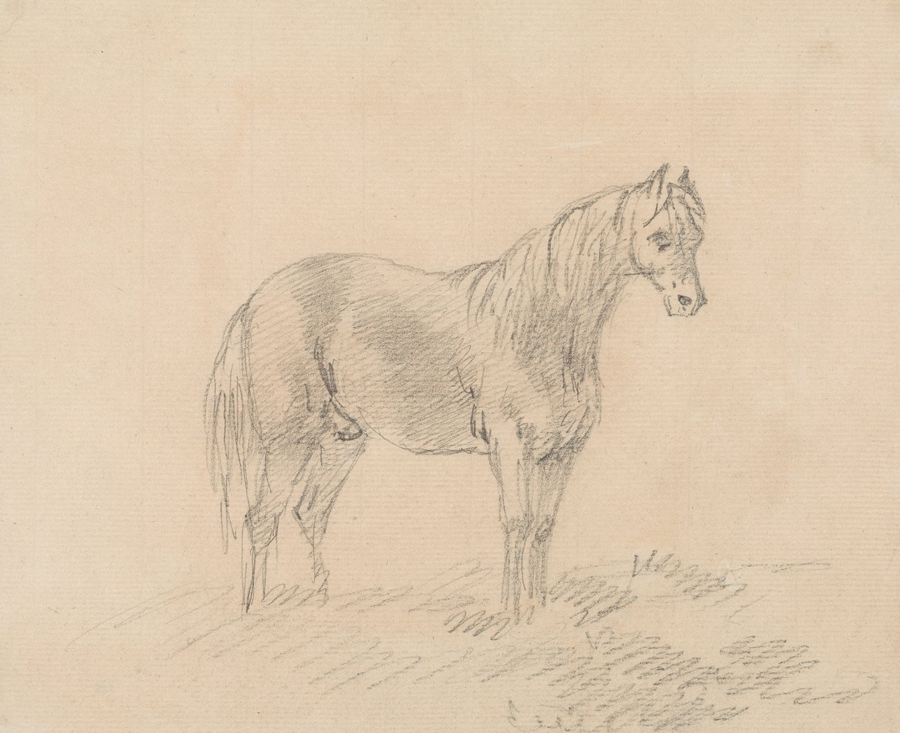 Männliches Pferd von Sawrey Gilpin