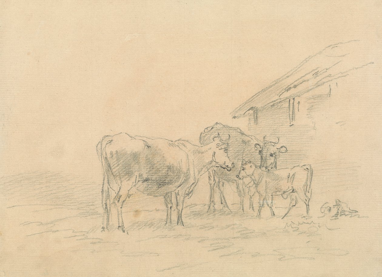 Zwei Kühe und ein Kalb von Sawrey Gilpin