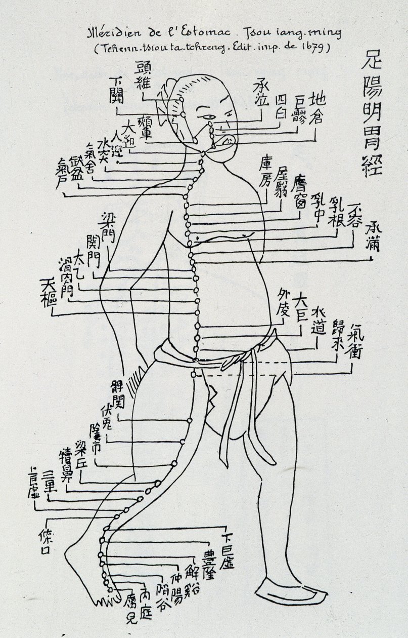 Akupunktur: „Meridian des Magens“ von School Chinese
