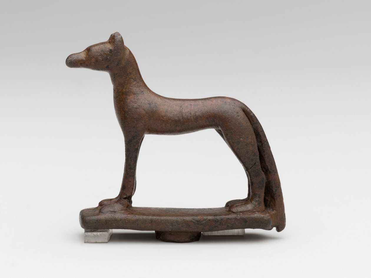 Schakal oder Hund von School Egyptian