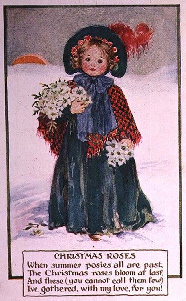 Christrosen von School English