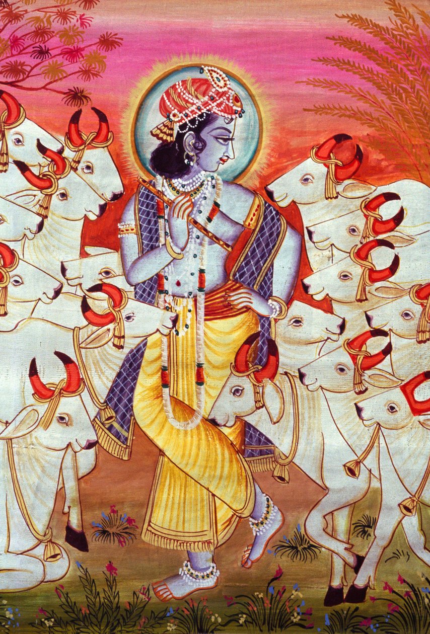 Lord Krishna und Kühe Miniaturmalerei von School Indian