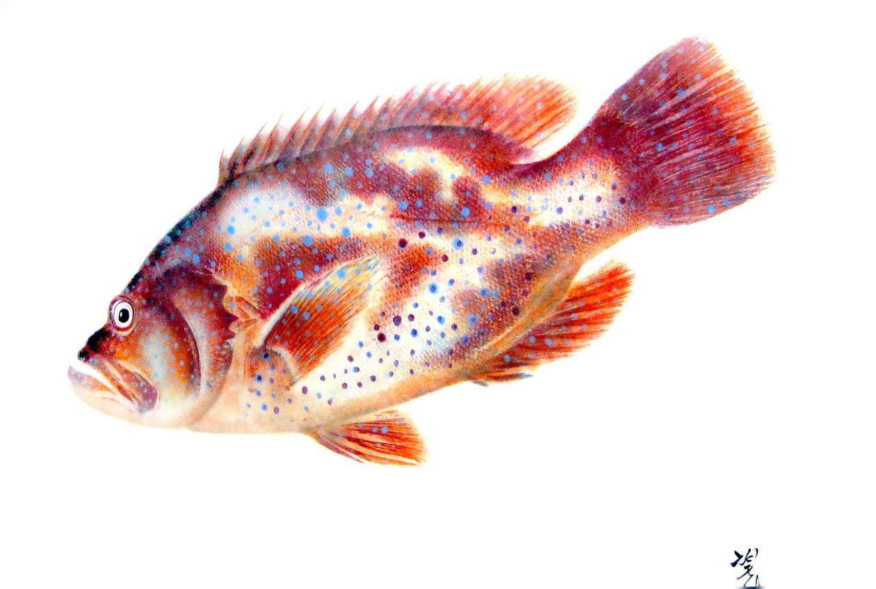 Gyotaku von Japanese School