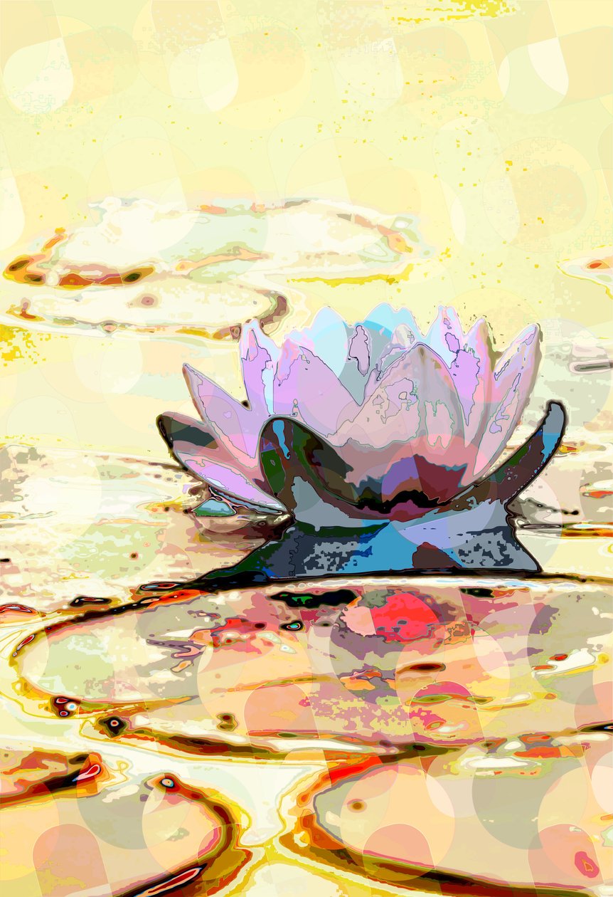 Seerose von Scott J. Davis