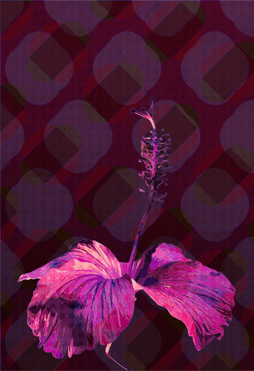 Hibiskus, 2019 von Scott J. Davis