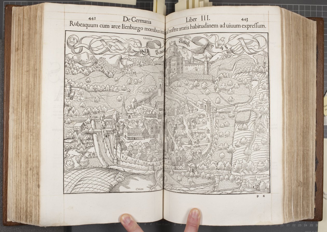 Cosmographia, Fols 442-443 von Sebastian Munster