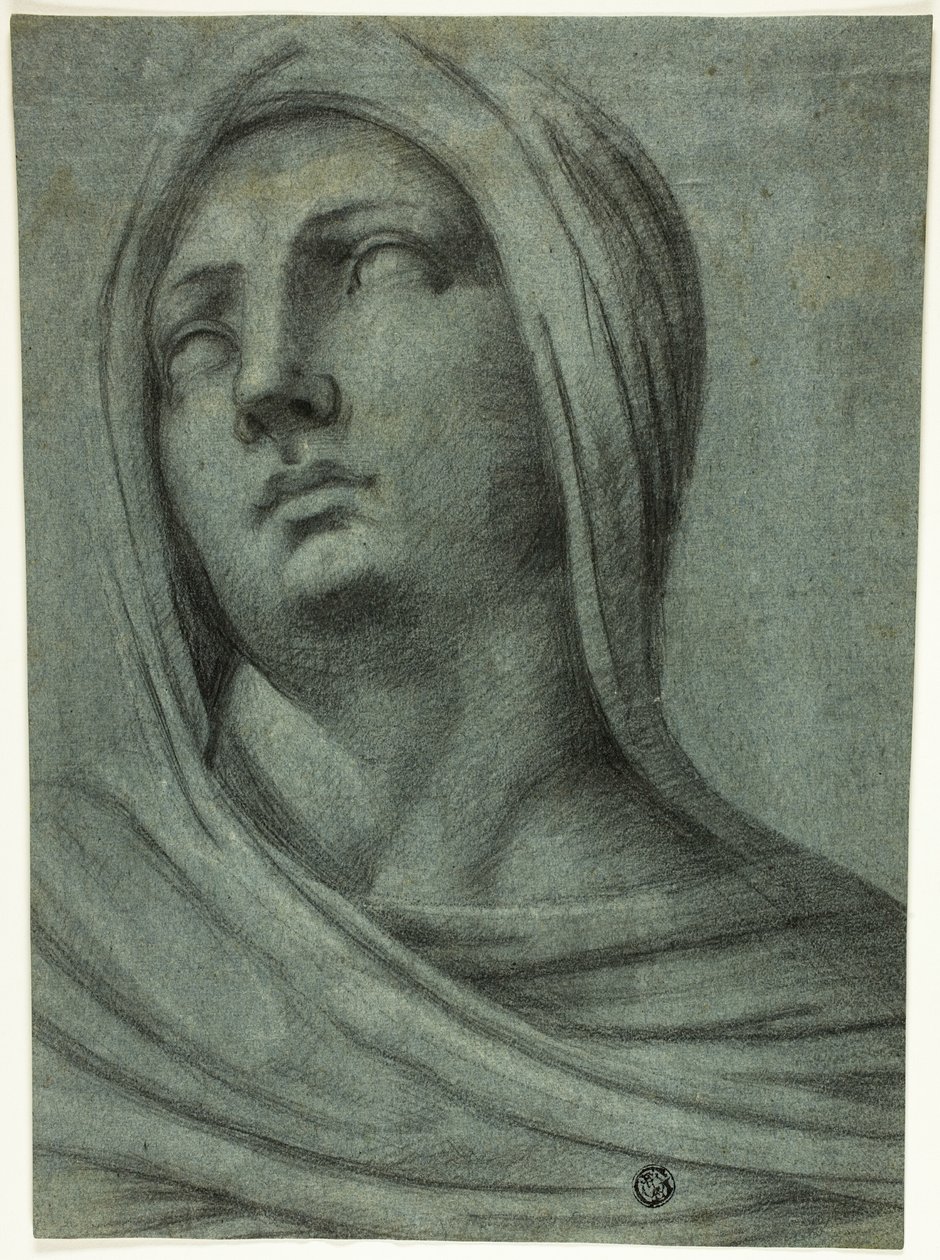 Kopf und Schultern einer verschleierten Frau von Sebastiano del Piombo