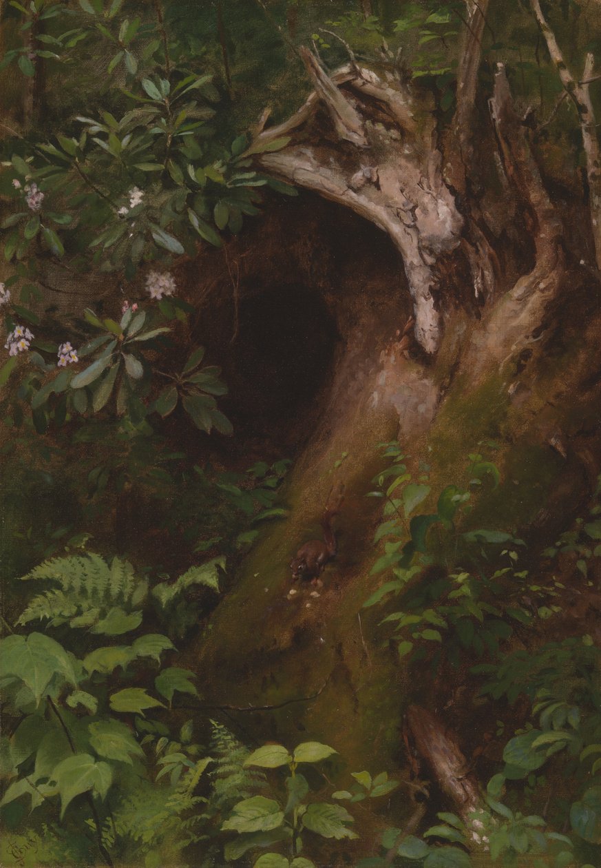 Das Eichhörnchen von Seymour Joseph Guy
