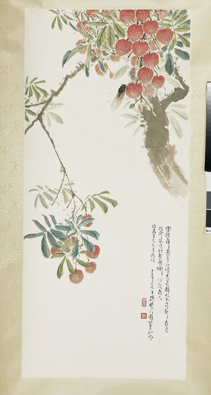 Litschis und Zikade von Shuren Chen