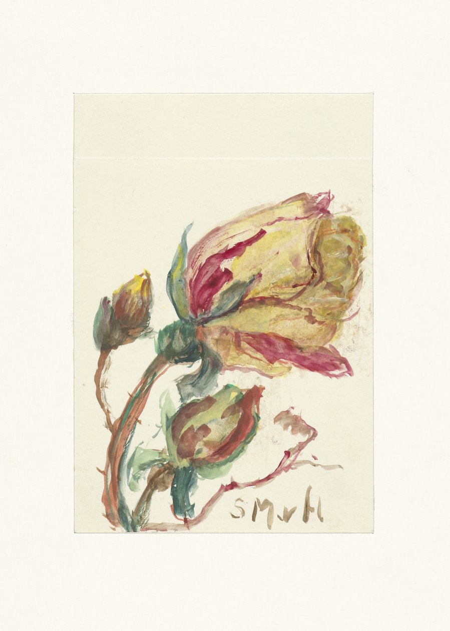 Rose von Sientje Mesdag van Houten