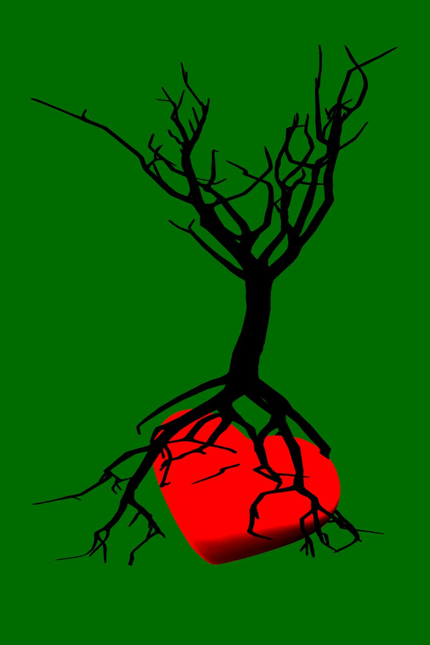 Herz des Baumes von Silvia Martini