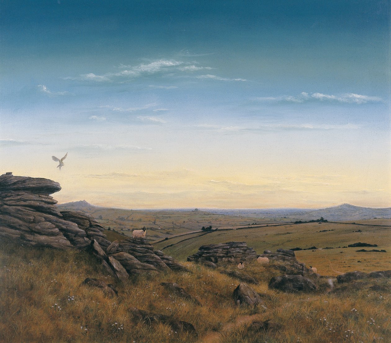 Abendhimmel von Simon Cook