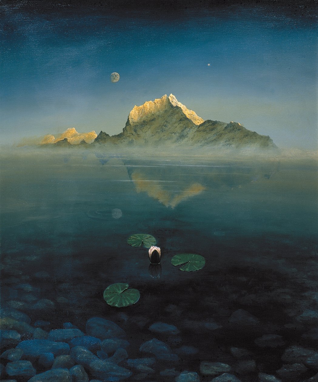 Berg über See von Simon Cook
