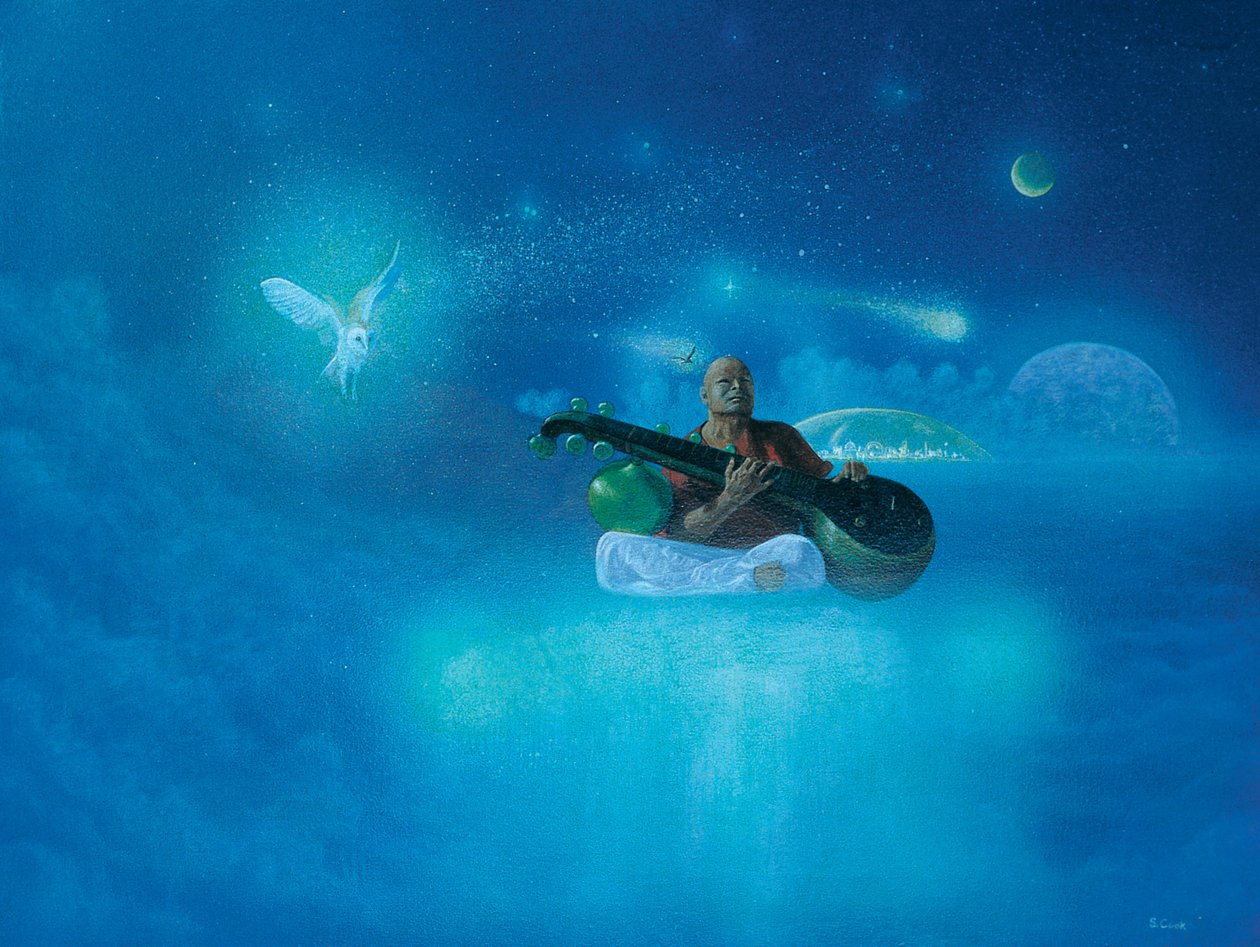 Musik des Universums von Simon Cook