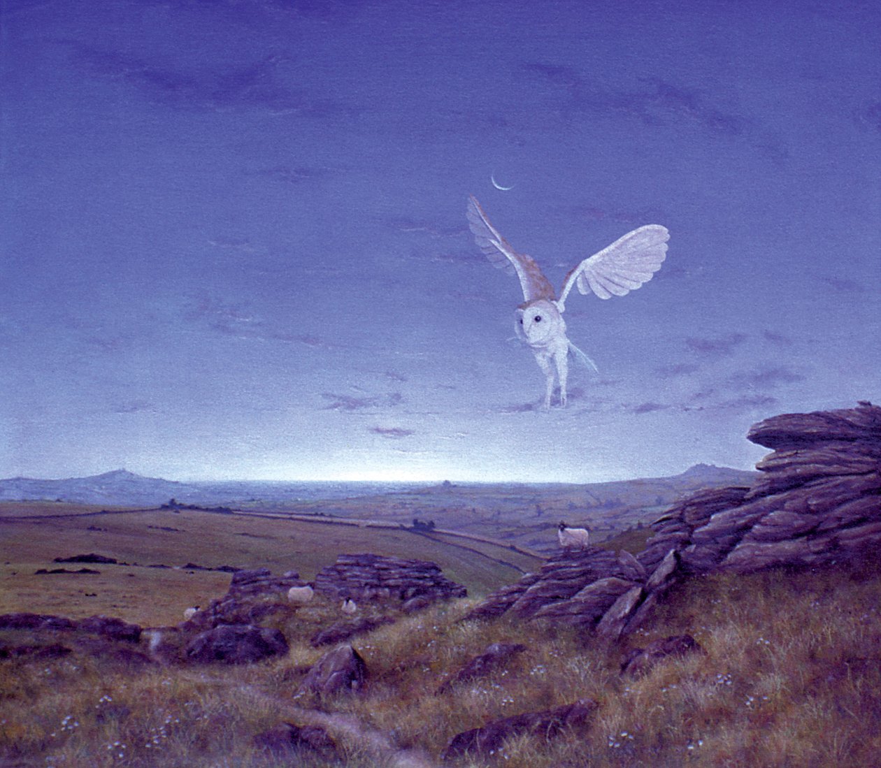 Die Mauren von Simon Cook