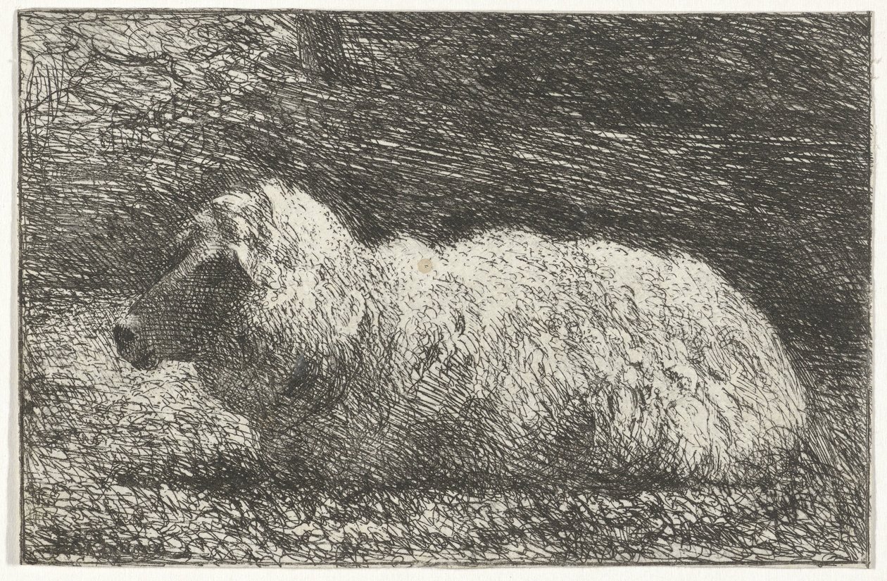 Liegendes Schaf von Simon Andreas Krausz