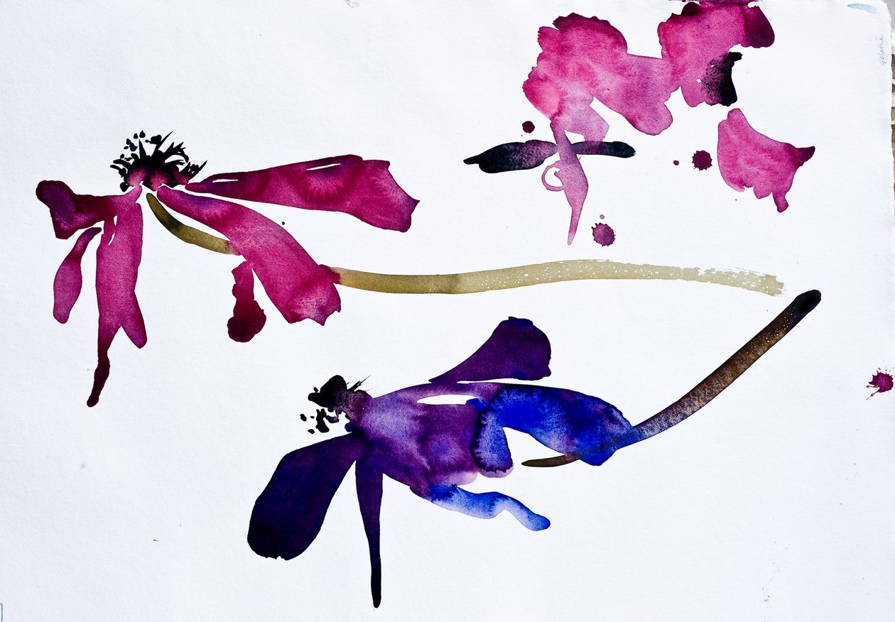 Anemonen von Simon Fletcher