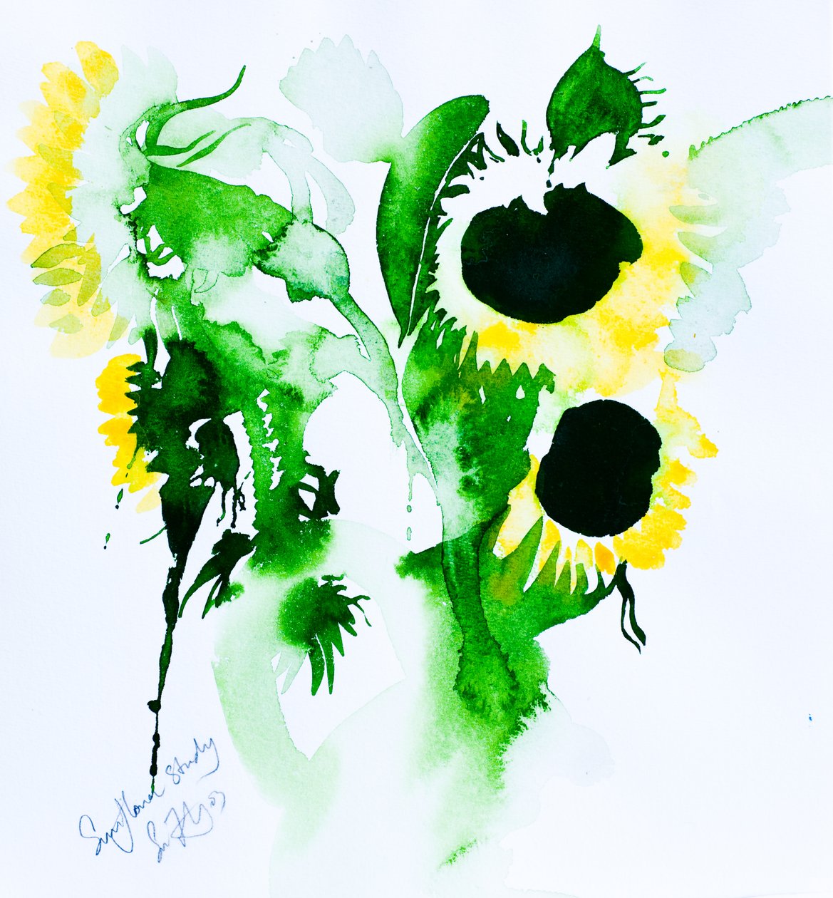 Sonnenblumenstudie von Simon Fletcher