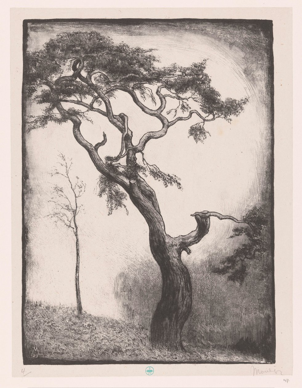 Kiefer von Simon Moulijn (signed by artist)