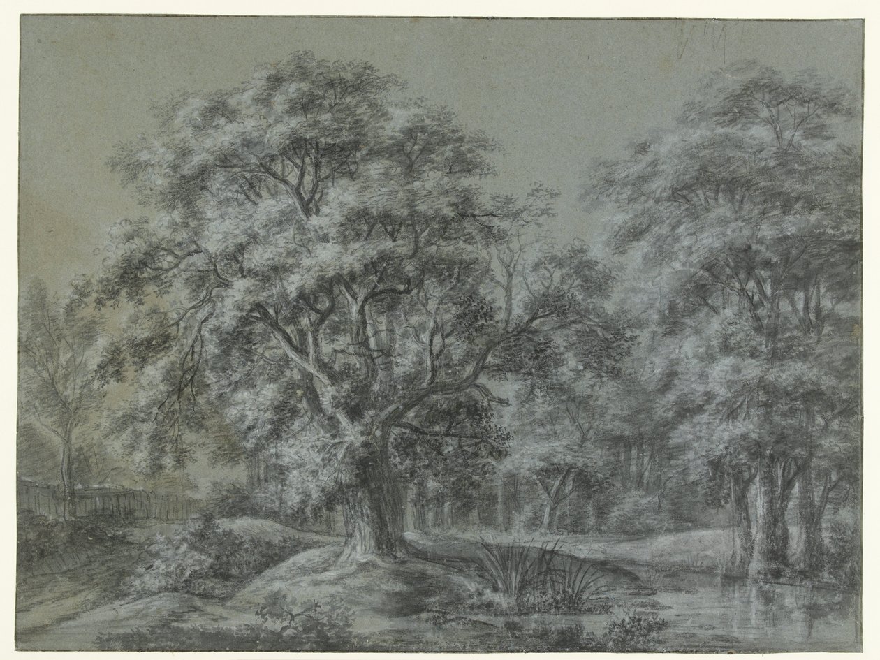 Waldlandschaft mit Wasser von Simon de Vlieger