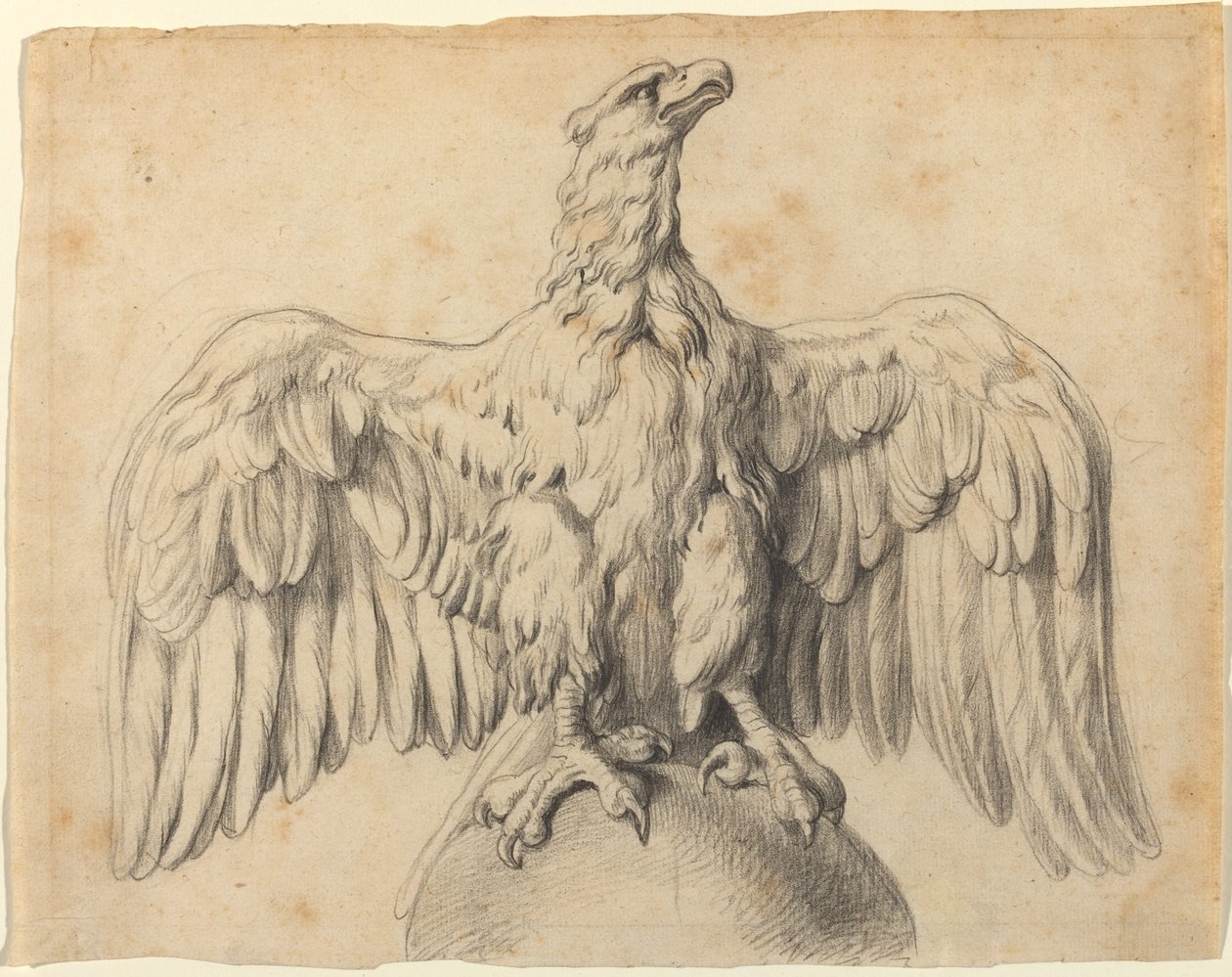 Der kapitolinische Adler von Sir Peter Paul Rubens