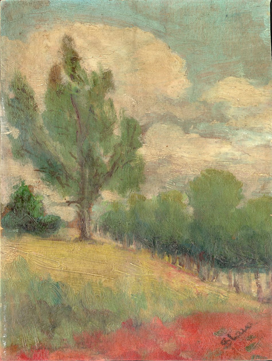 Padina mit großem Baum von Slava Raškaj