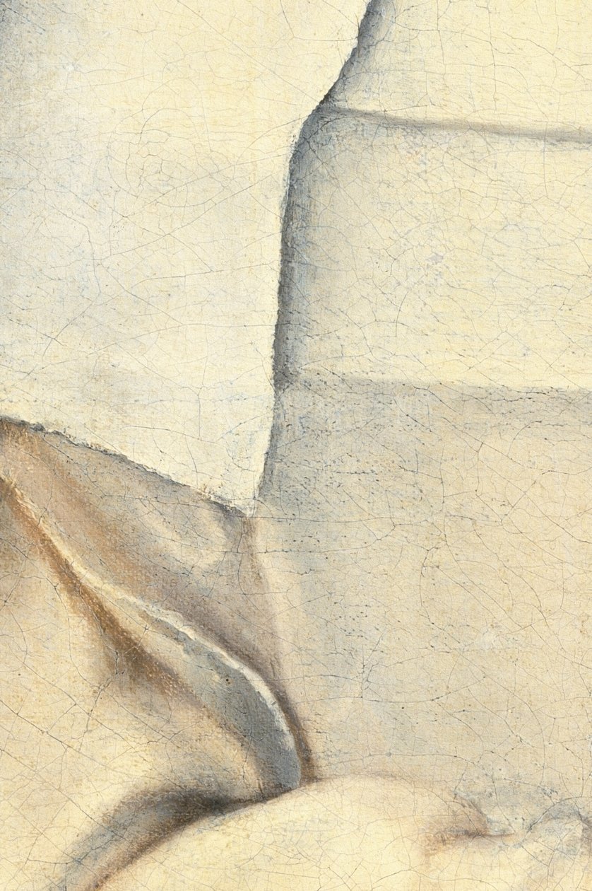 Porträt der Schwester des Künstlers von Sofonisba Anguissola