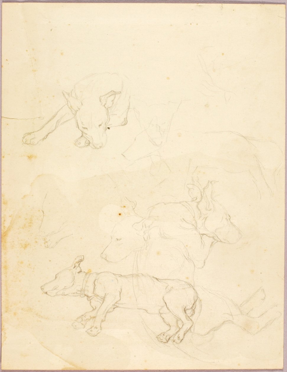 Hunde von Solon H. Borglum