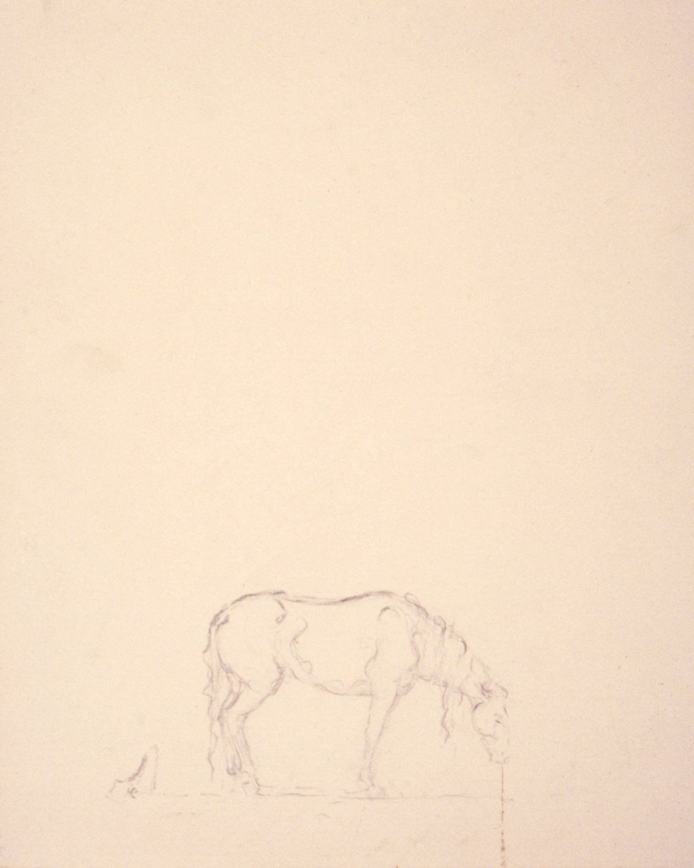 Traum eines Bronchos #1 von Solon H. Borglum