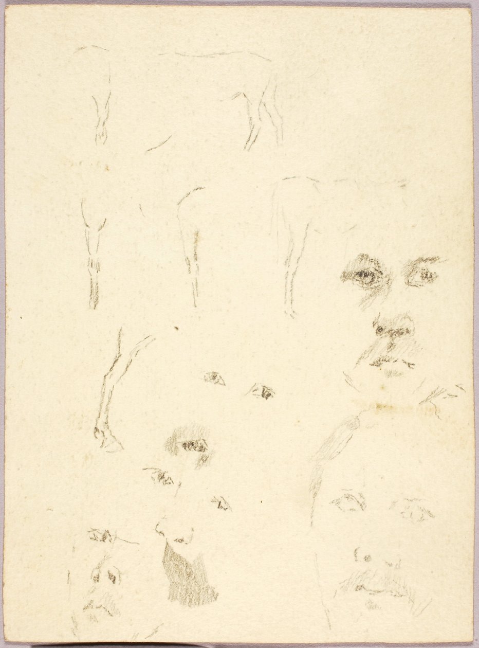 Gesichter von Solon H. Borglum